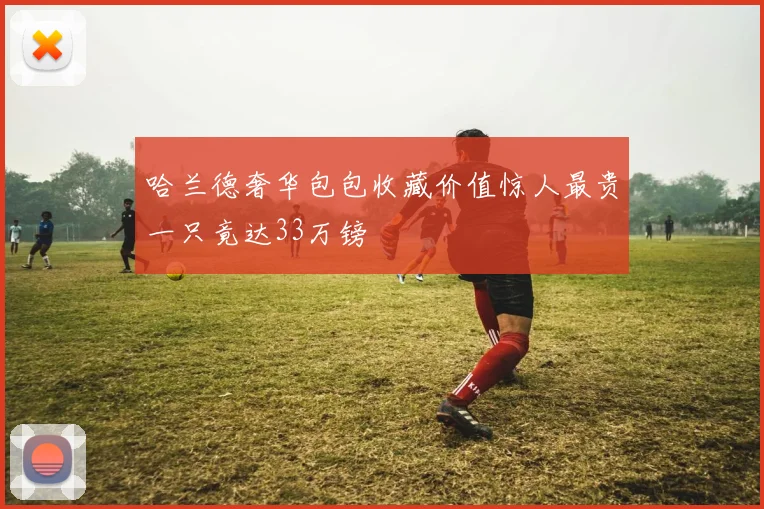 哈兰德奢华包包收藏价值惊人最贵一只竟达33万镑