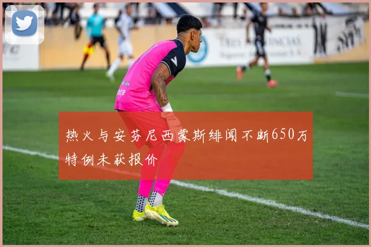 热火与安芬尼西蒙斯绯闻不断650万特例未获报价